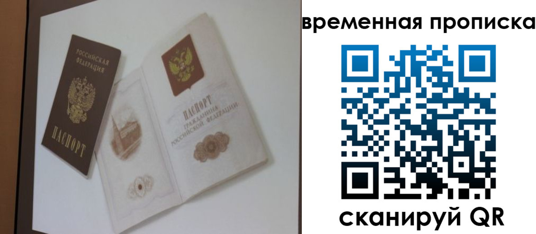 прописка 2025 в Зеленоградске